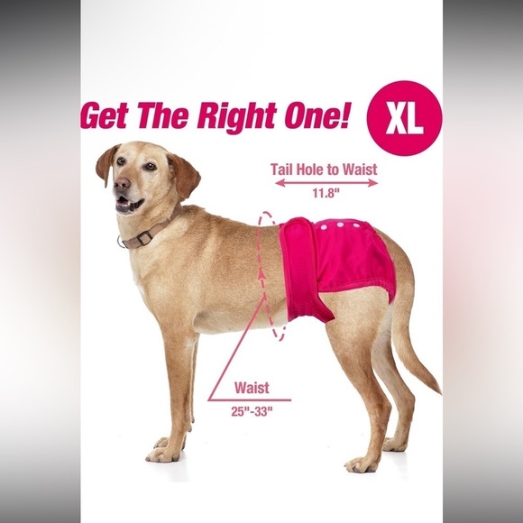 pet parents Other - Pet Parents® Washable Dog Diapers (3pack) + Extenders
NEW